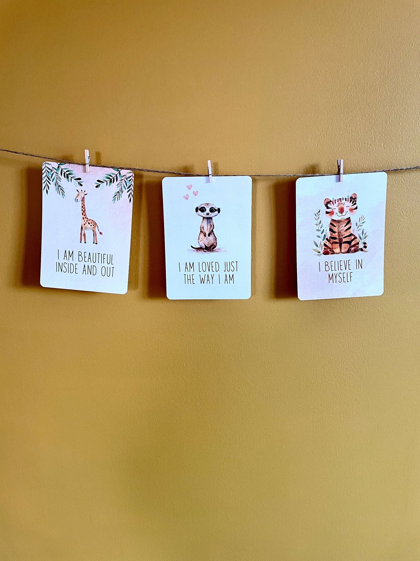 Affirmation Display Kit - Little Goose