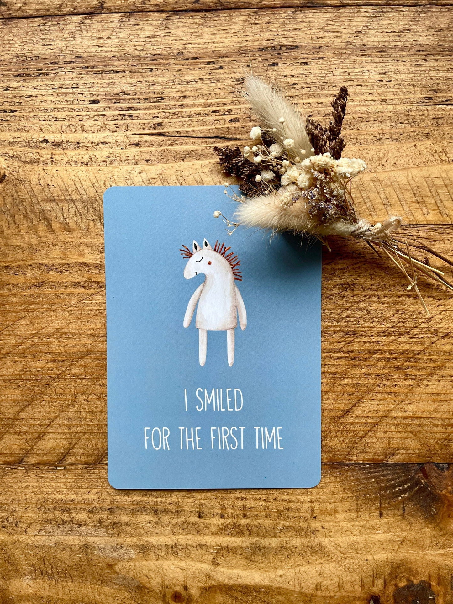 Baby Milestone Cards - Little Goose