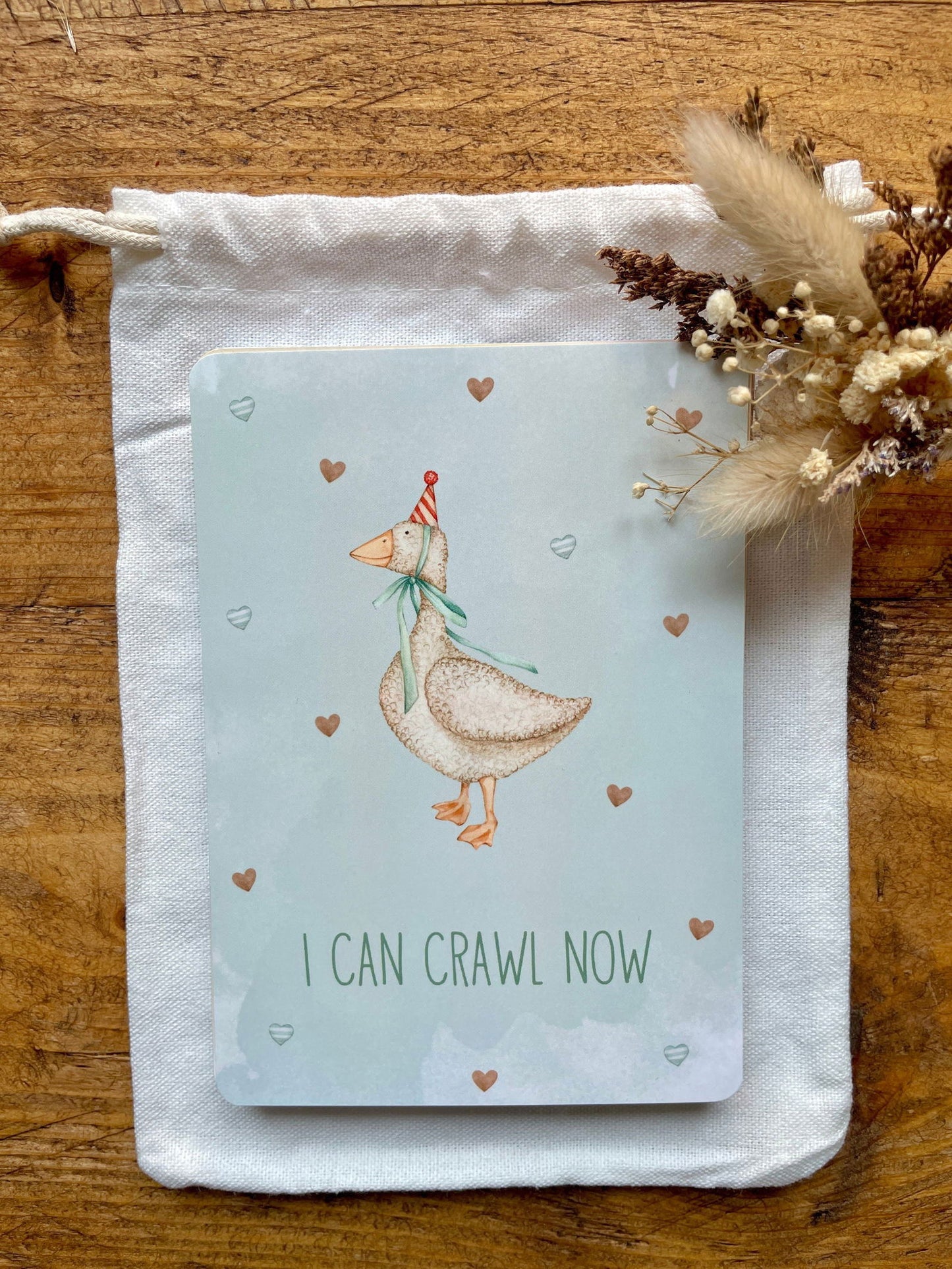 Baby Milestone Cards - Little Goose