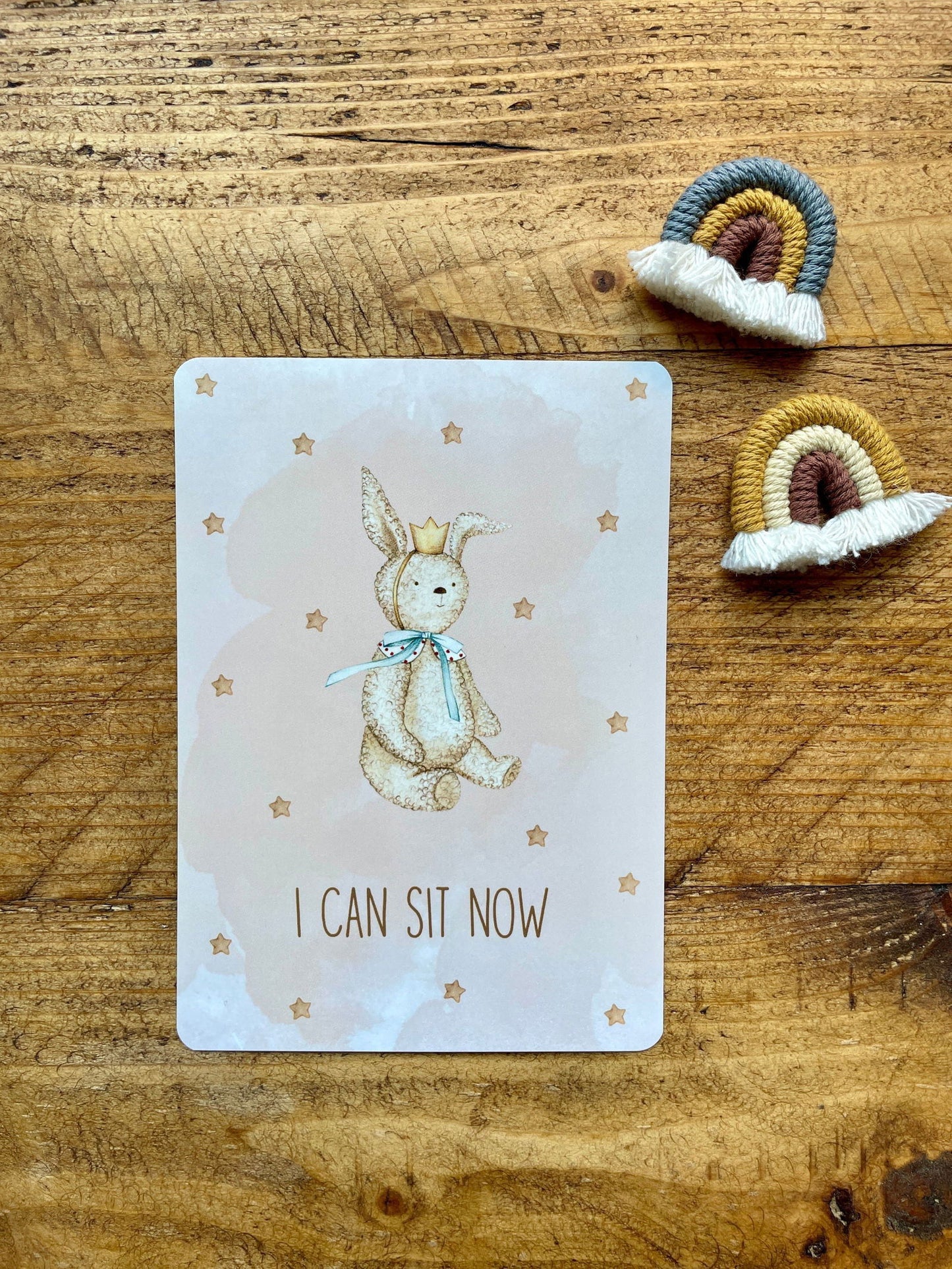 Baby Milestone Cards - Little Goose