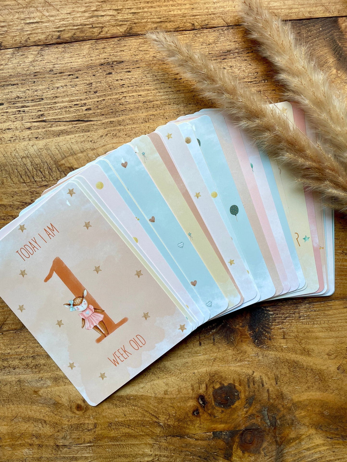 Baby Milestone Cards - Little Goose