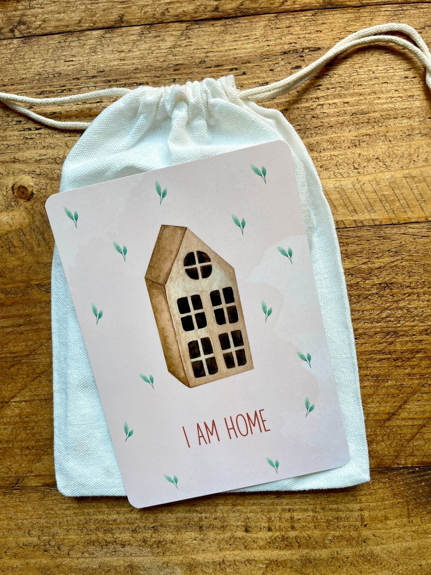 Baby Milestone Cards - Little Goose