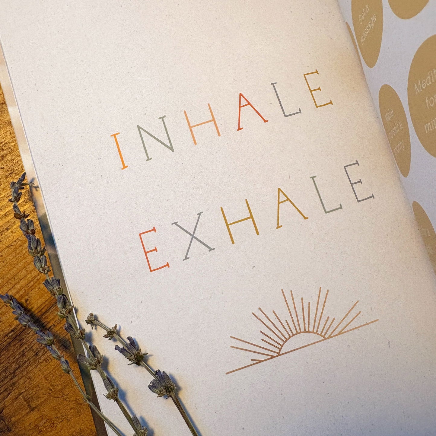 Mindfulness Journal - Little Goose