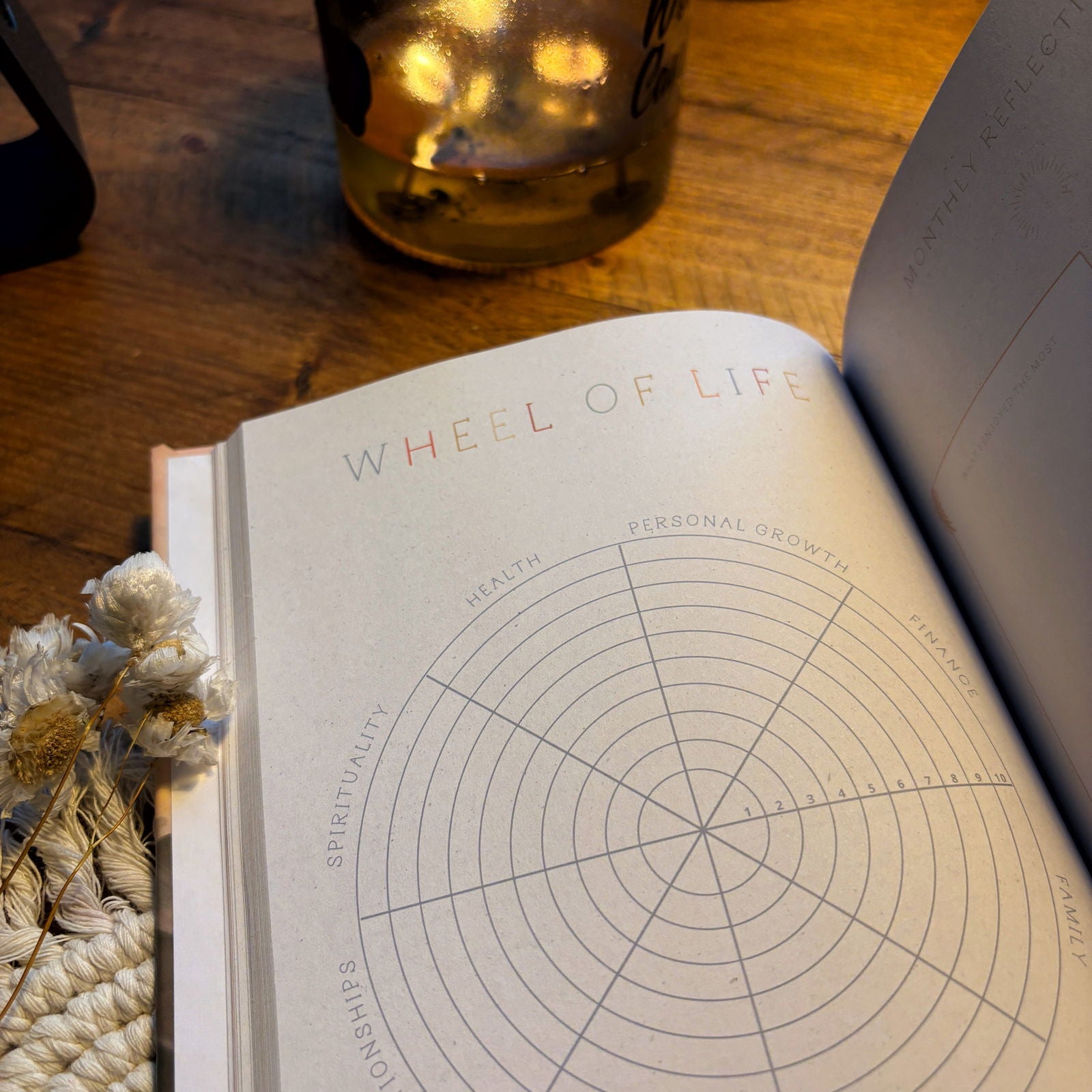 Mindfulness Journal - Little Goose