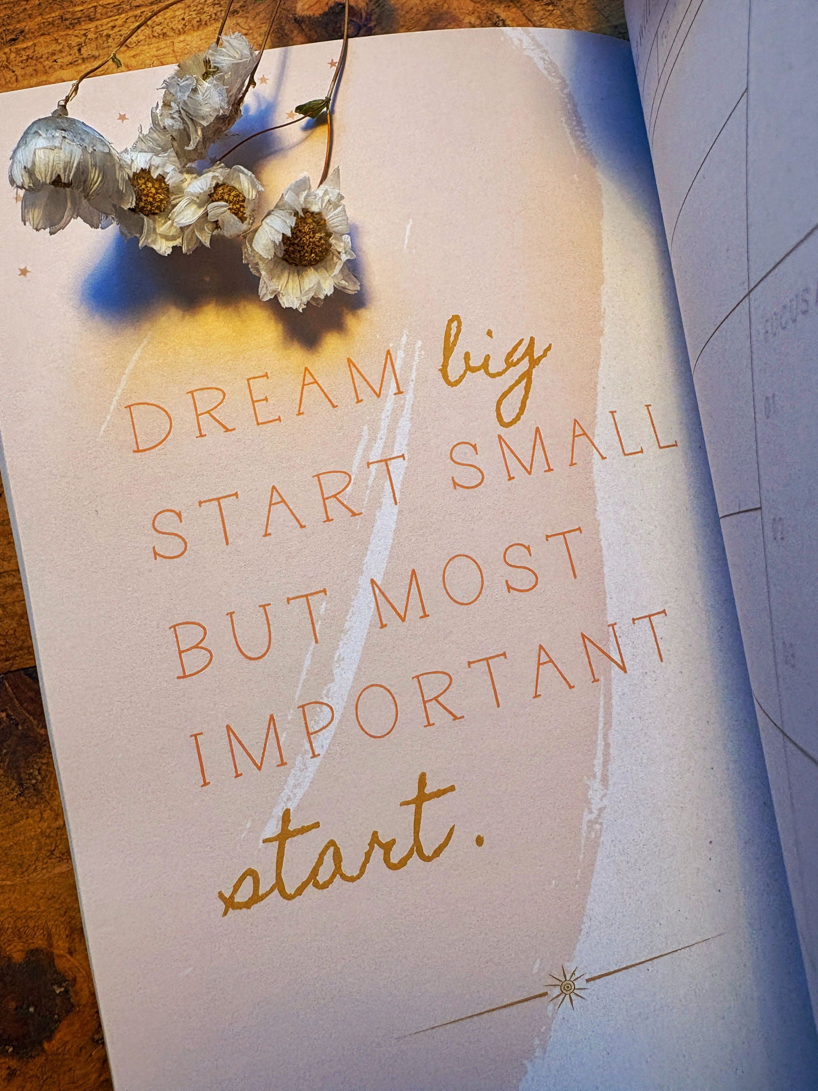 Mindfulness Journal - Little Goose