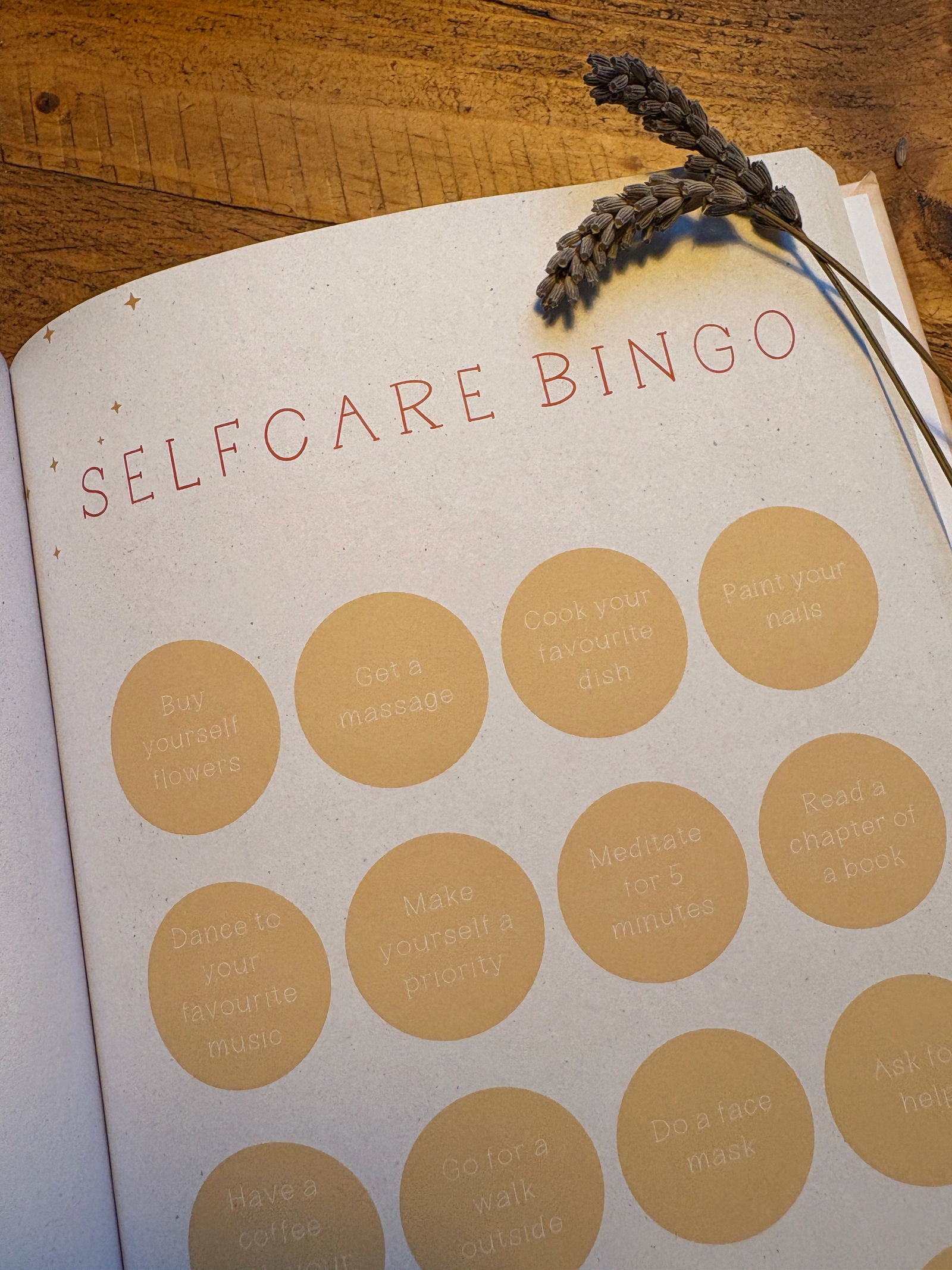 Mindfulness Journal - Little Goose