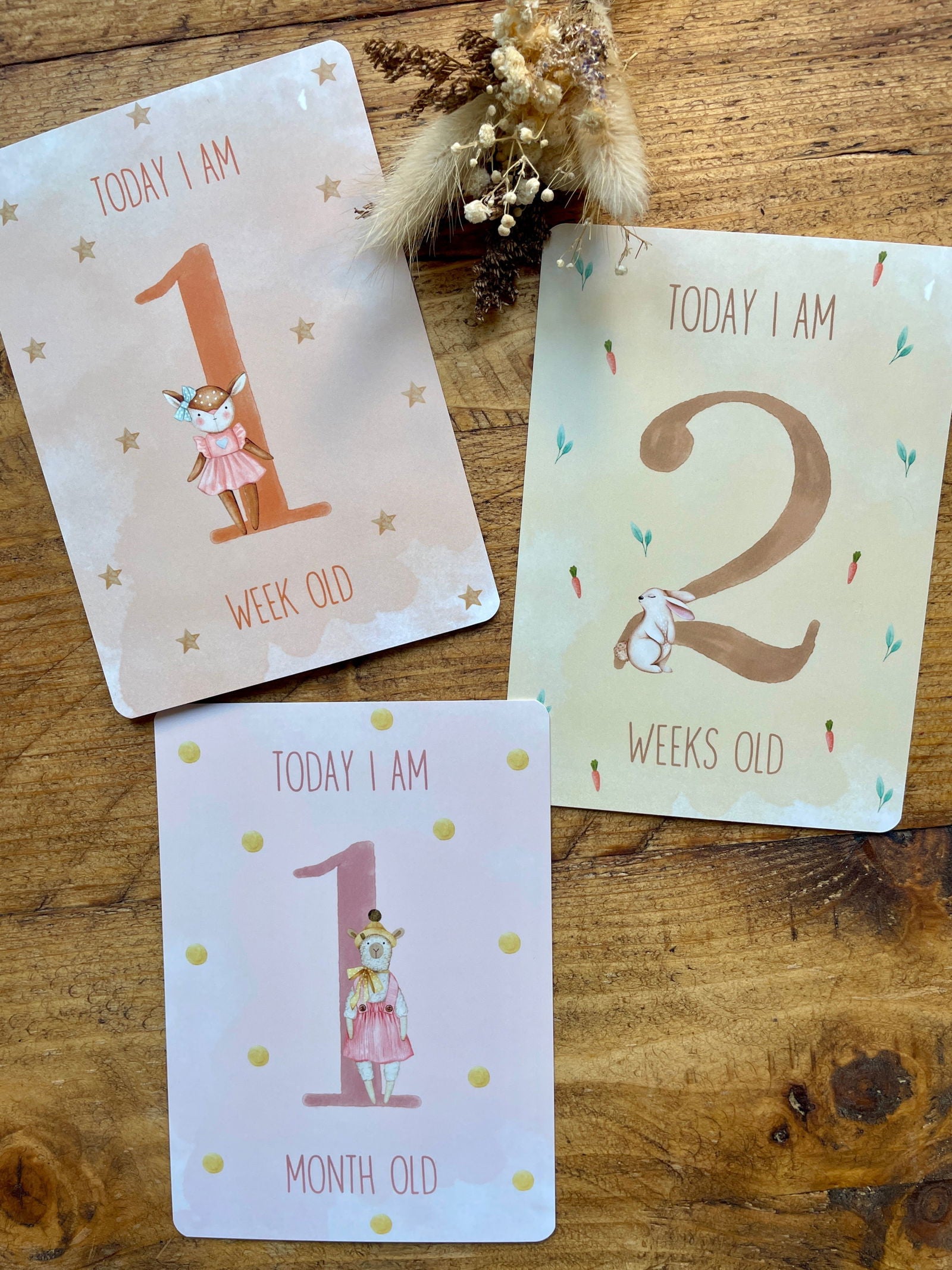 Baby Milestone Cards - Little Goose