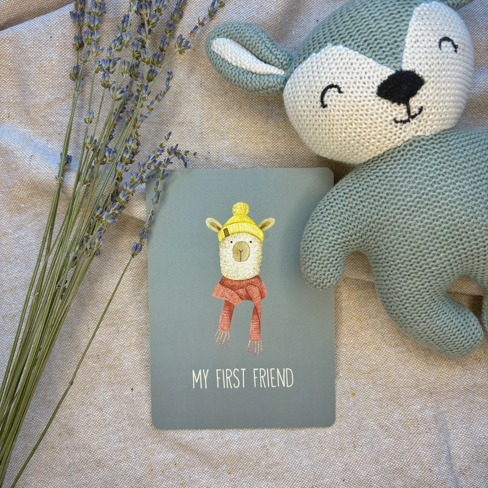 Baby Milestone Cards - Little Goose