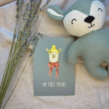 Baby Milestone Cards - Little Goose