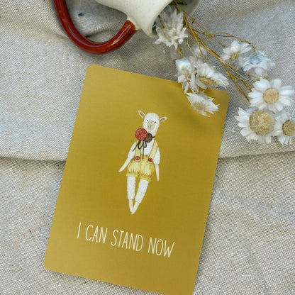 Baby Milestone Cards - Little Goose