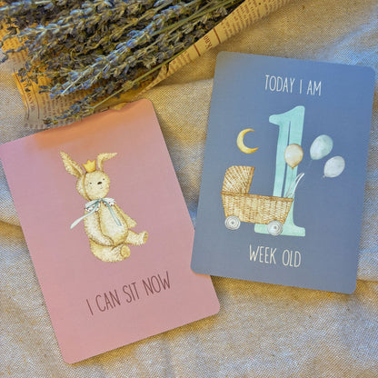 Baby Milestone Cards - Little Goose