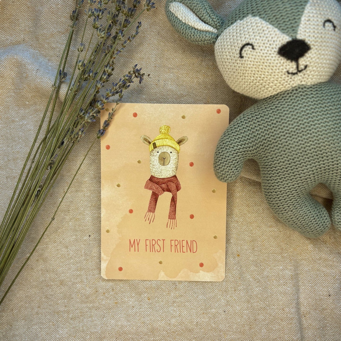 Baby Milestone Cards - Little Goose