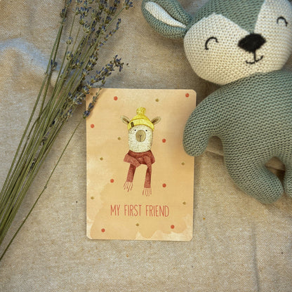 Baby Milestone Cards - Little Goose
