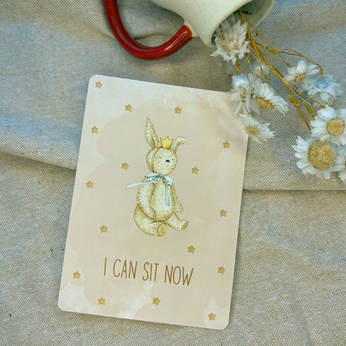 Baby Milestone Cards - Little Goose