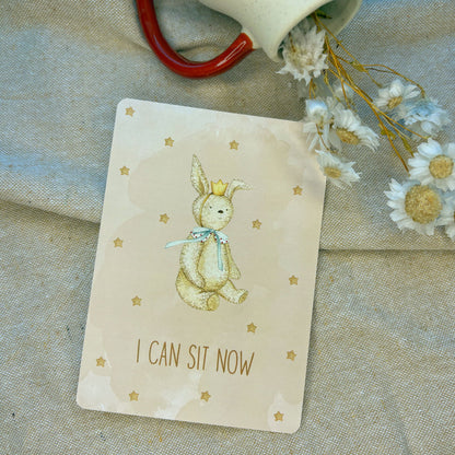 Baby Milestone Cards - Little Goose