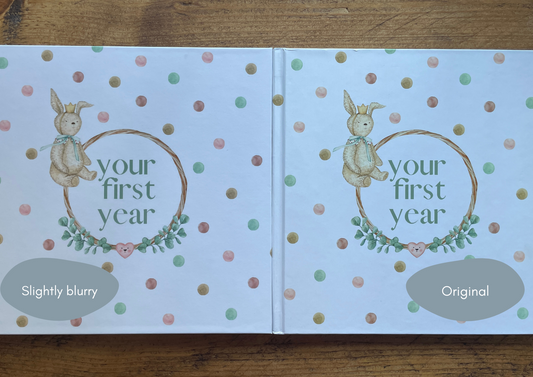 Minor Cover Defect | Your First Year - Woodland Animals Edition - Little Goose