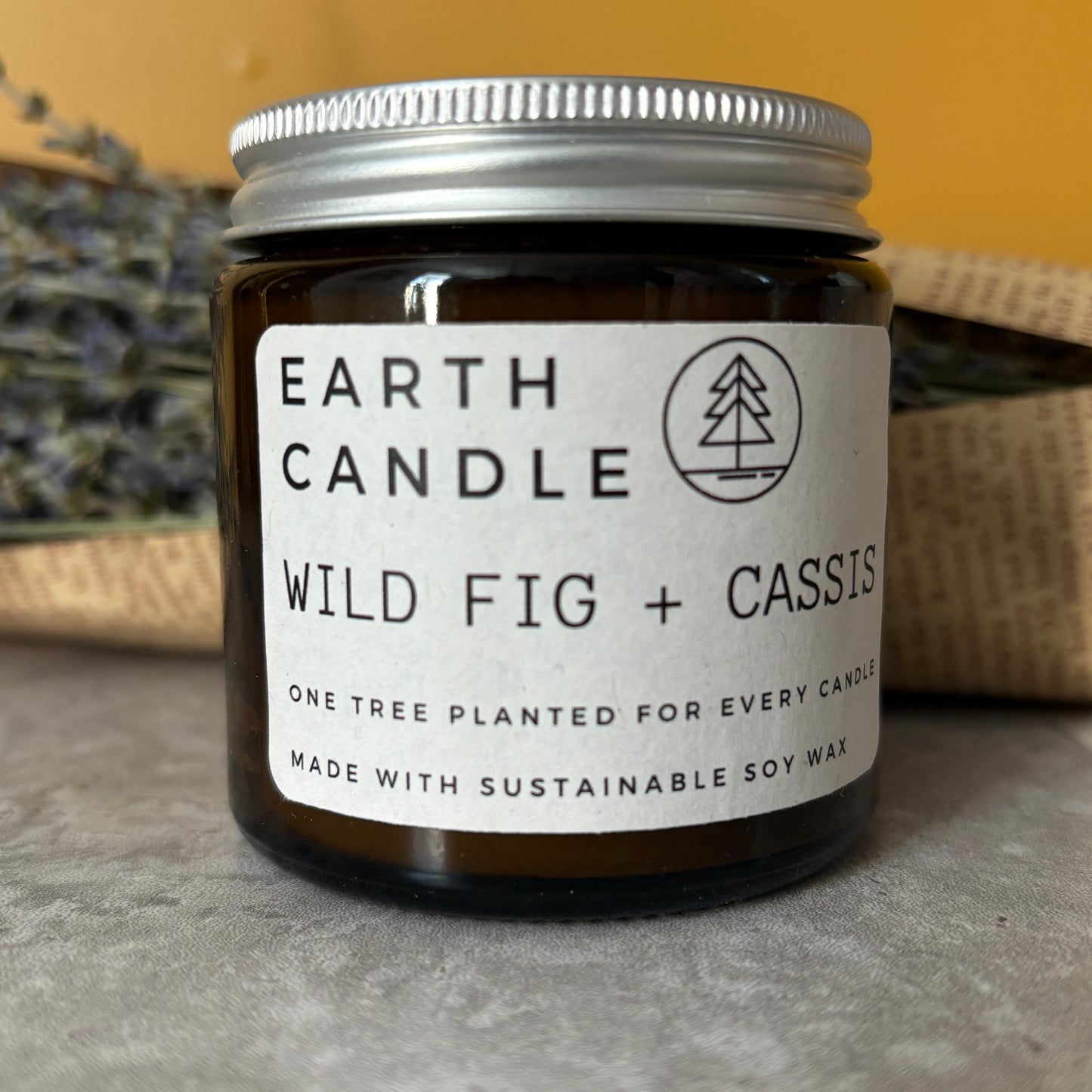 Wild Fig, Cassis Candle