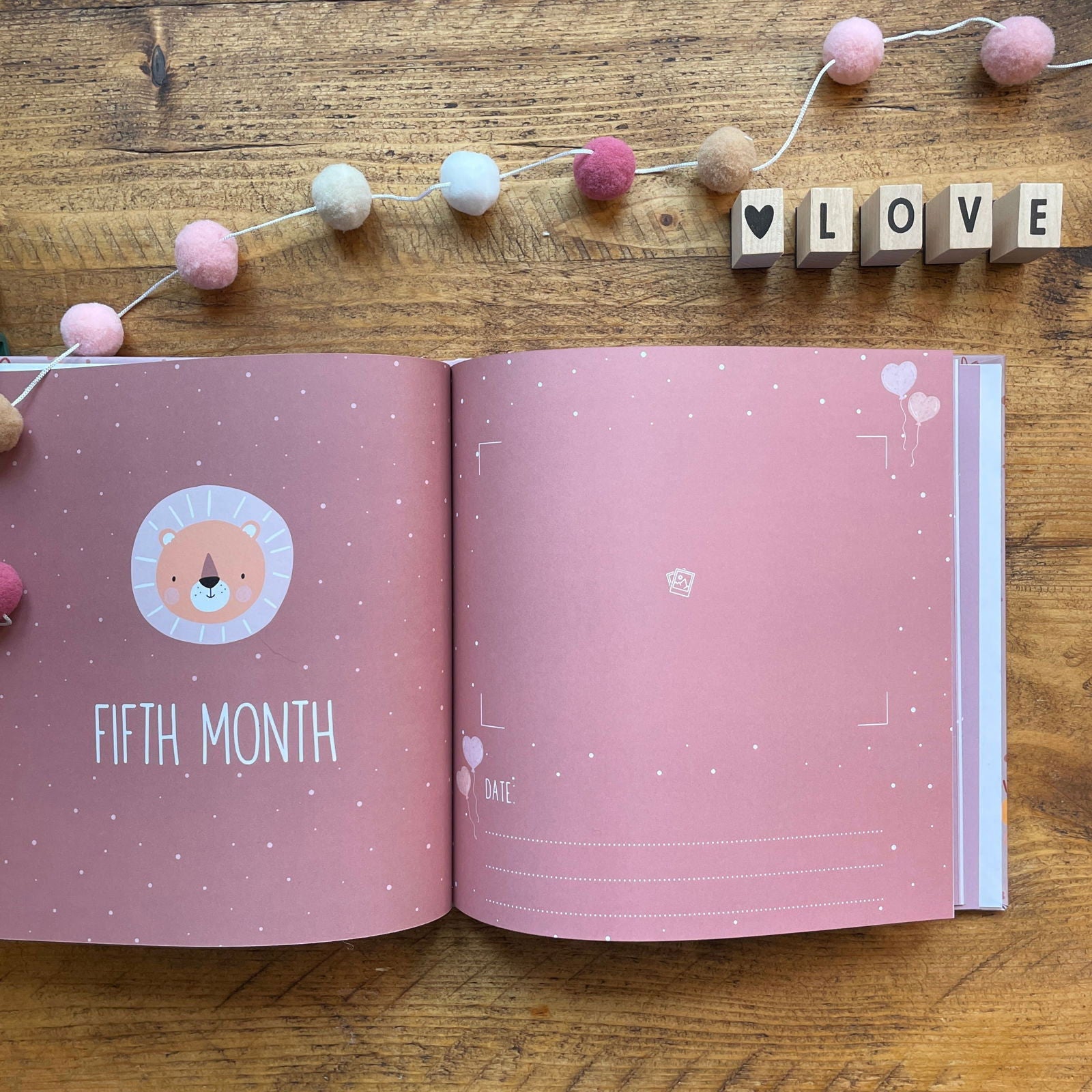 Your First Year - Baby Memory Book - Little Goose