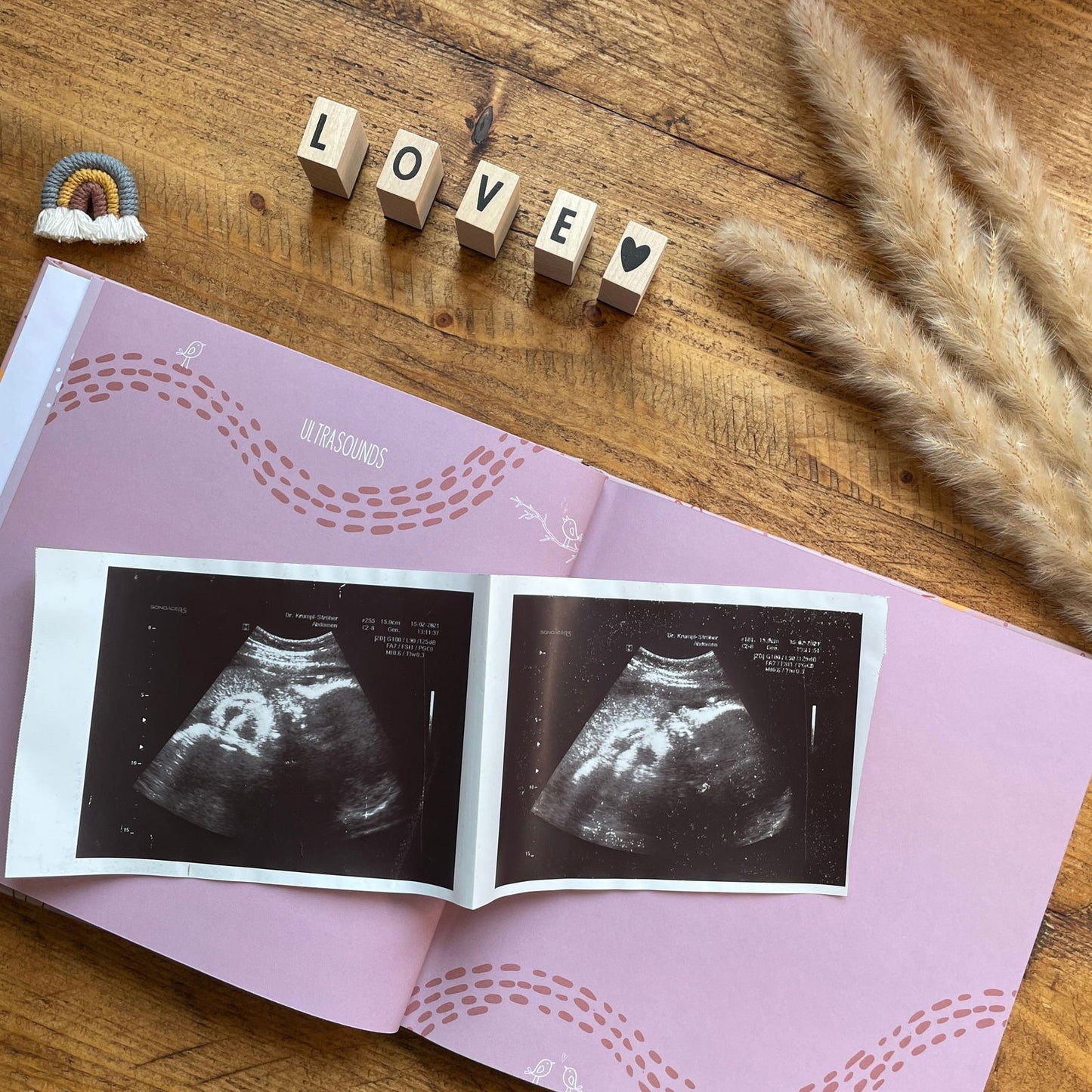 Your First Year - Baby Memory Book - Little Goose