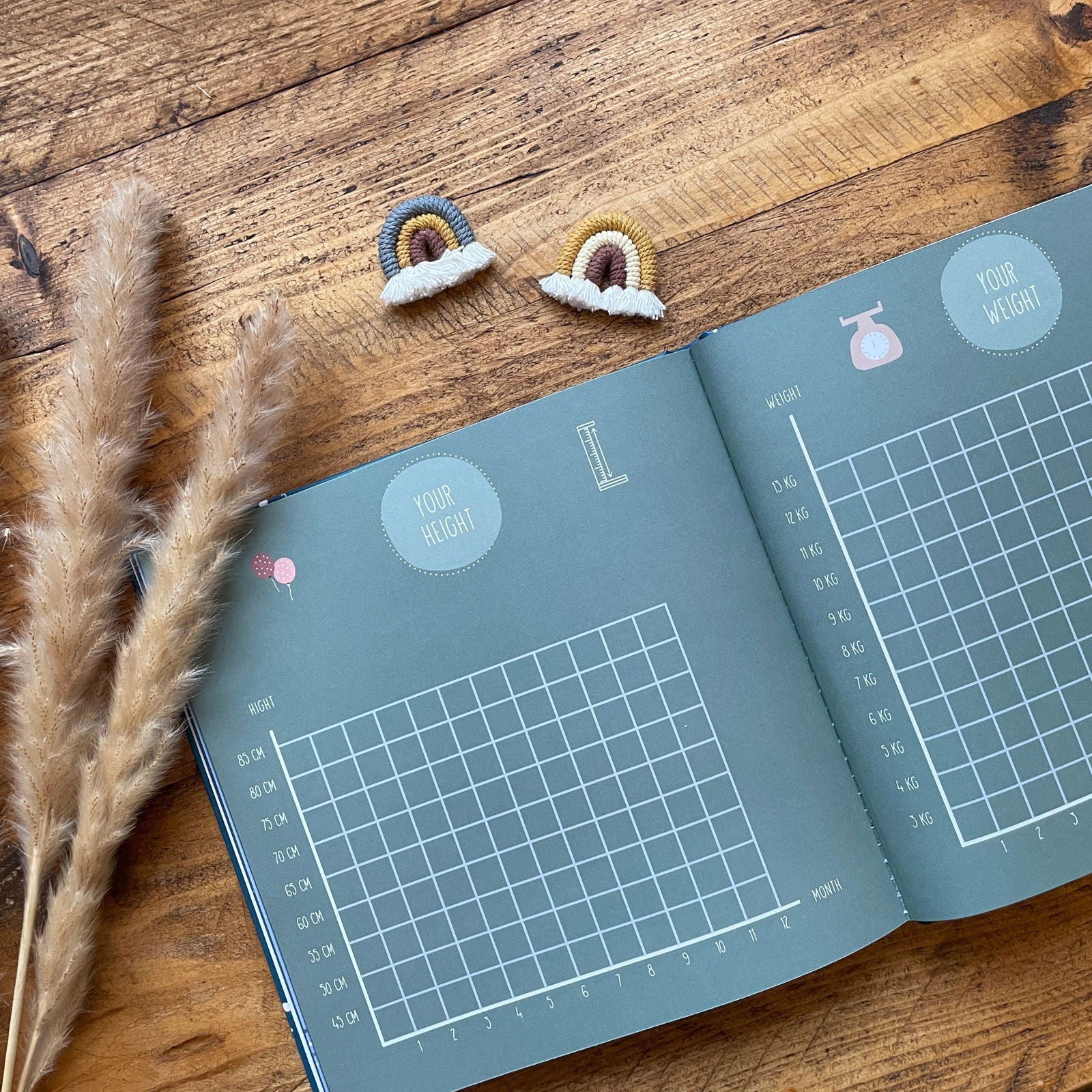 Your First Year - Baby Memory Book - Little Goose