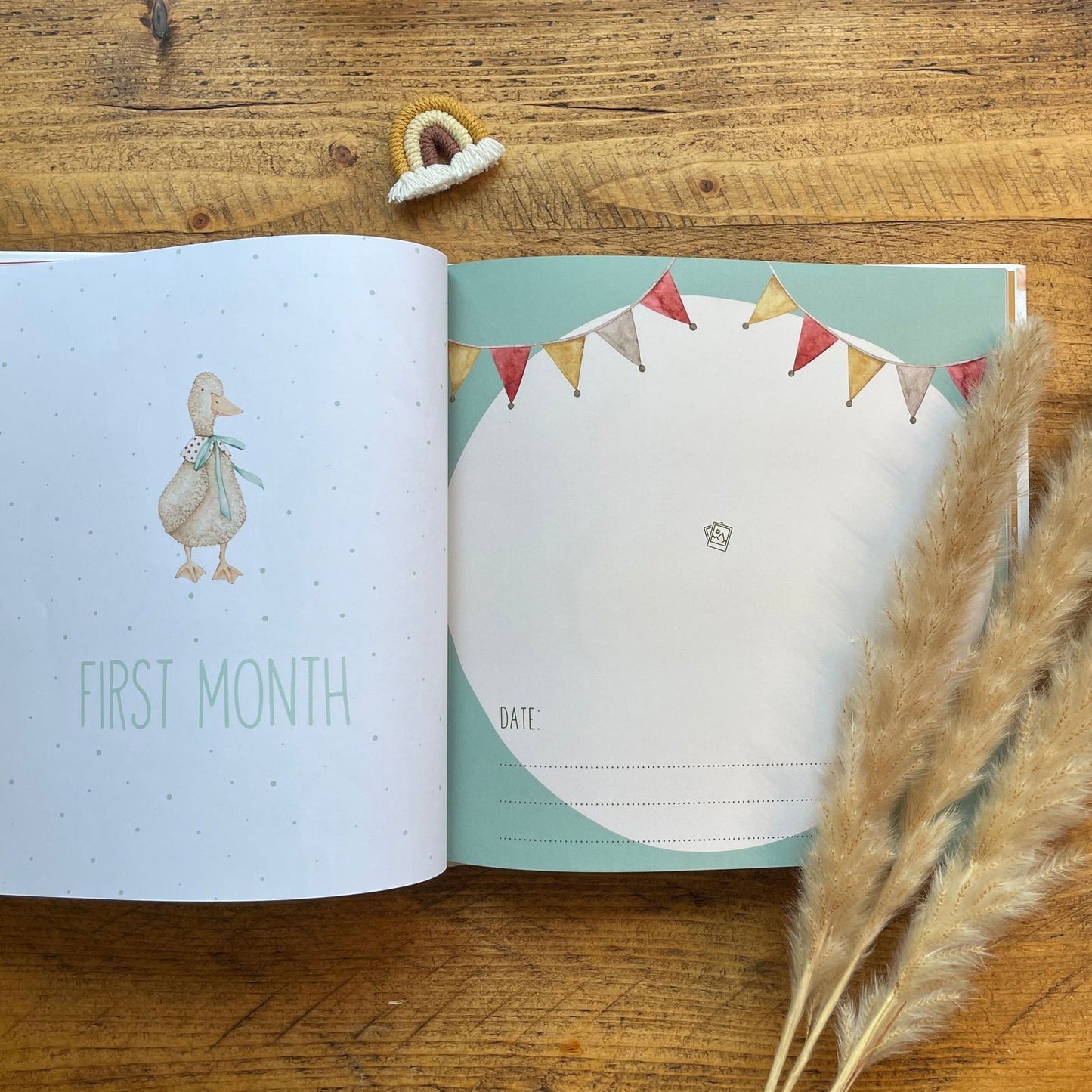 Your First Year - Baby Memory Book - Little Goose