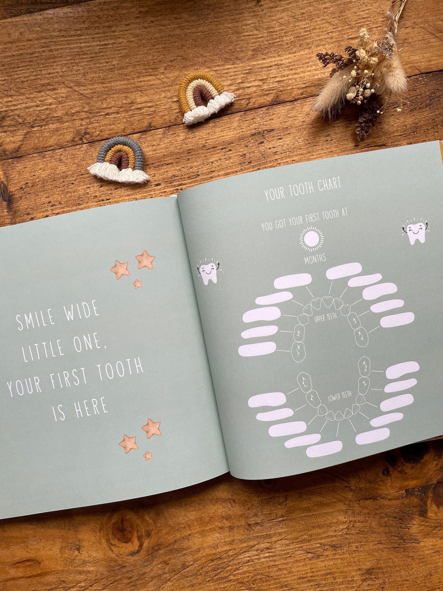 Your First Year - Baby Memory Book - Little Goose